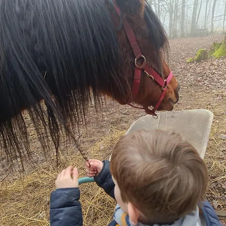 4-gite 4 Personnes Avec Piscine Casa vacanze *