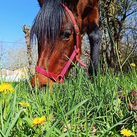 4-gite 4 Personnes Avec Piscine Casa vacanze