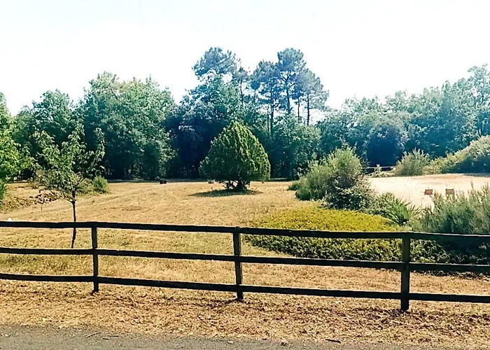 4-gite 4 Personnes Avec Piscine 別荘 Saint-Aubin-de-Nabirat