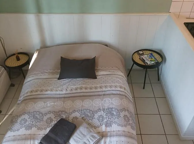 4-gite 4 Personnes Avec Piscine 別荘 *