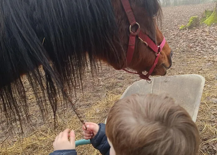 4-gite 4 Personnes Avec Piscine 別荘 *