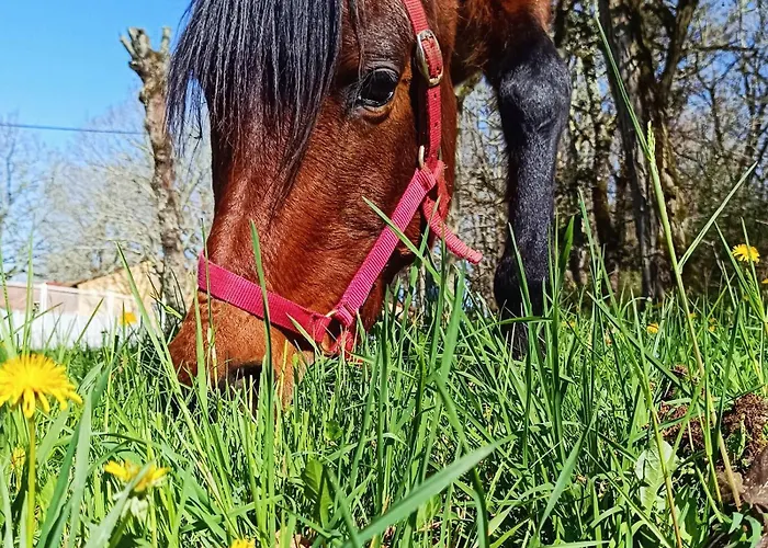 4-gite 4 Personnes Avec Piscine 別荘